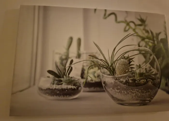 Apartamento Butterfly *